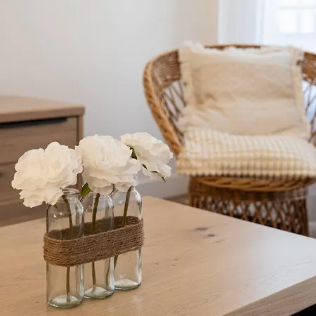 아파트 Festival -appartement 3 Pieces Centre *